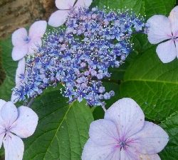 『釣りデビュー❤』180日目⭐