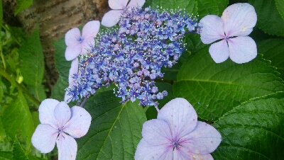 『釣りデビュー❤』180日目⭐