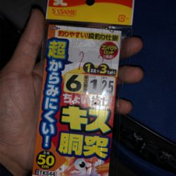 泉大津キスシーズンイン！