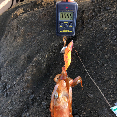 2021 佐渡ヶ島ライトゲーム&エギング