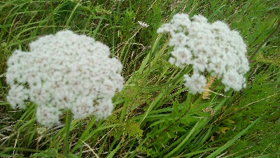 『釣りデビュー❤』182日目⭐