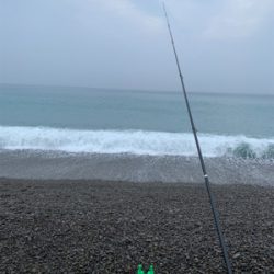 シマアジ狙いで！