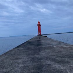 潮周り良好も3枚のみ