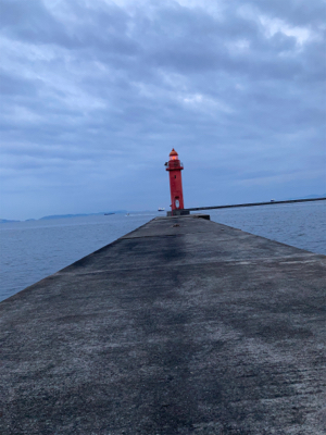 潮周り良好も3枚のみ