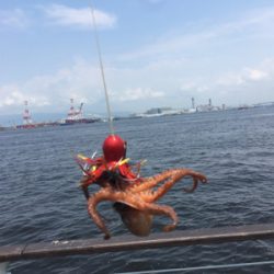 ギックリ腰なのでタコ散歩。。。