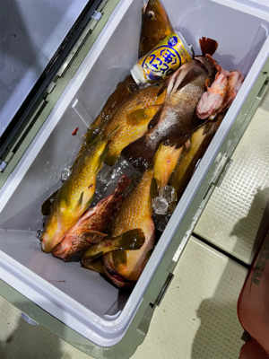 ライトジギング&タイラバ&…