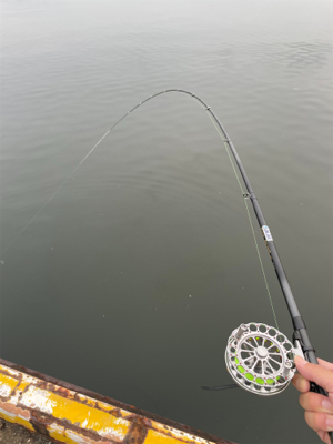 2日連続、落とし込み