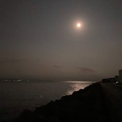 秋イカサイズだけど嬉しい1杯(^。^)