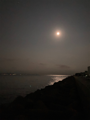 秋イカサイズだけど嬉しい1杯(^。^)