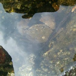 『釣りデビュー♡』188日目！！