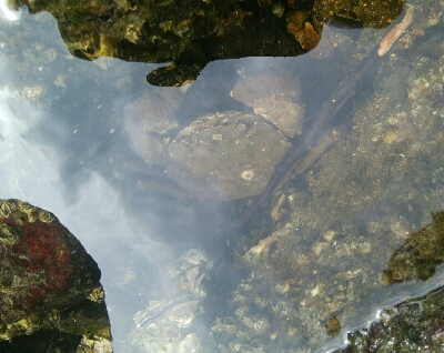 『釣りデビュー♡』188日目！！