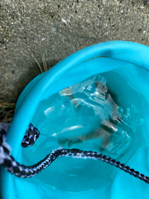 ハゼはいるけど何か渋い