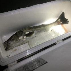 めげずに頑張りました(ToT)