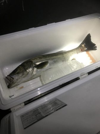 めげずに頑張りました(ToT)