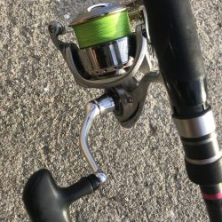 ダイソールアーでカンパチGET