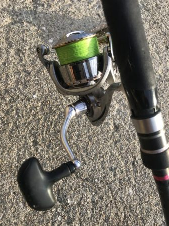 ダイソールアーでカンパチGET