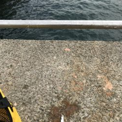 ひさあのイワシさん