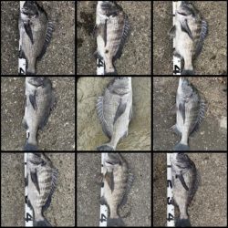 イチノ兄弟、釣果！