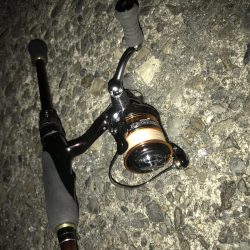 ダイソーワームでメバル &ガシラ