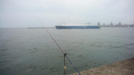 15時から播磨新島のキス調査