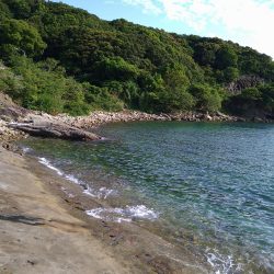 アオリイカを求めて