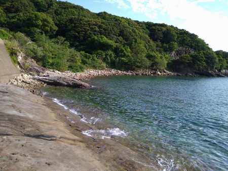 アオリイカを求めて