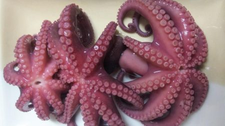 タコ1、ガシラ2、サバ2