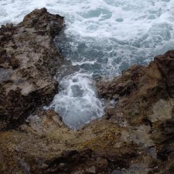 やっと釣れたー!