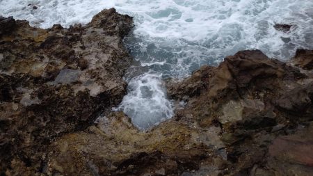 やっと釣れたー!