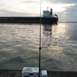 時合いを捉えるのが難しい