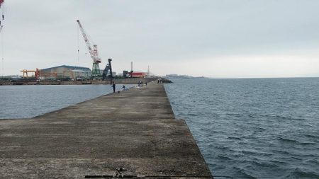 僅かな時合いを捉える事が出来ました