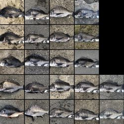 イチノ兄弟、釣果！