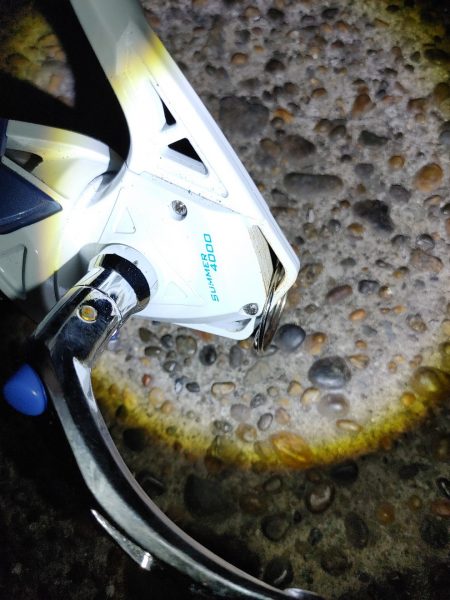 50cmのフッコでました