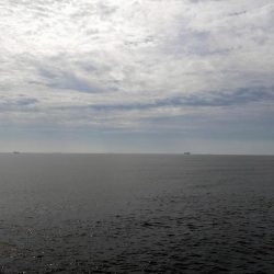 今日も漁船パターンw