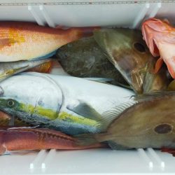 ネギング10目釣り