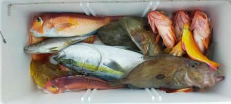 ネギング10目釣り