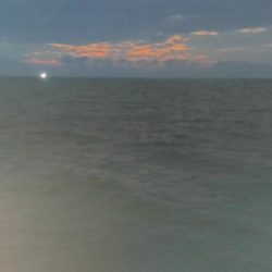 シロイカ上向き　大剣ゲット