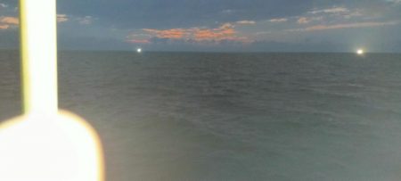 シロイカ上向き　大剣ゲット