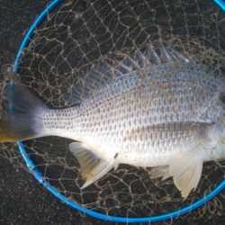 釣りデビュー 168日目❤