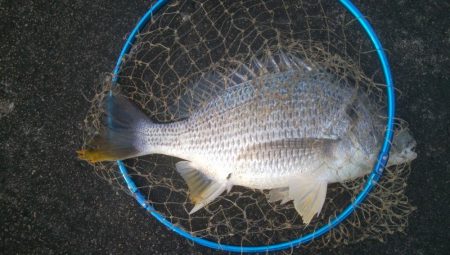 釣りデビュー 168日目❤