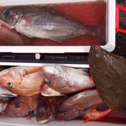 康仁丸・ジギング・鯛ラバ・釣り果