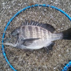 『釣りデビュー❤』172日目❗❗