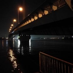 2021/06/28 南港ヘチ釣り