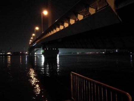 2021/06/28 南港ヘチ釣り