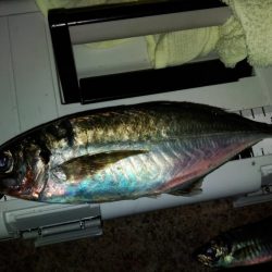 (尺アジ)フロートゲーム