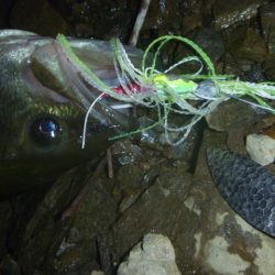 降りそで降らない