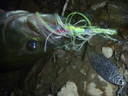 降りそで降らない