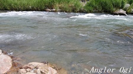 引原川本流で良型アマゴゲット！