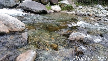 先行者の後、釣りこぼしを拾う釣り