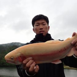 フィッシングレイクたかみや 釣果